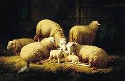 unknow artist Sheep 062 Germany oil painting artist